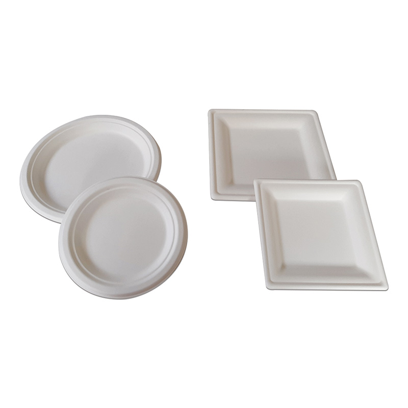 Sugarcane Plates