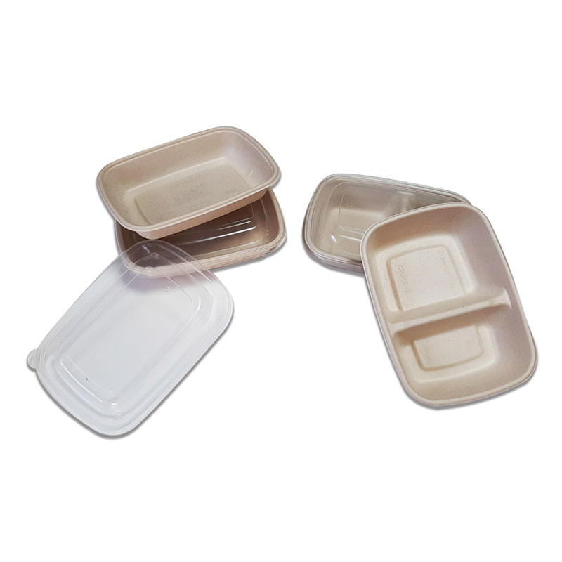 Sugarcane Box 2