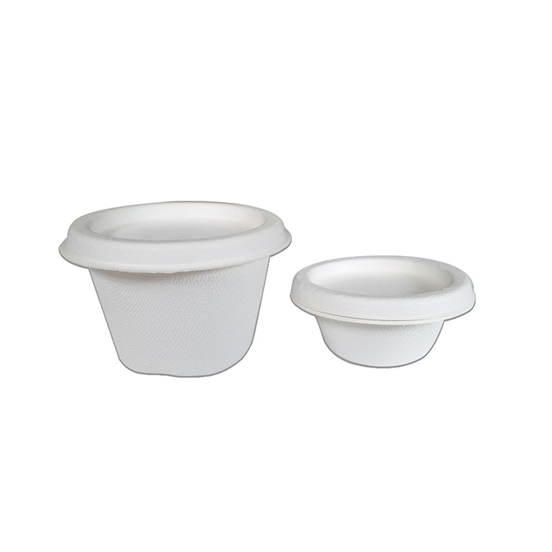 Sugarcane Cups