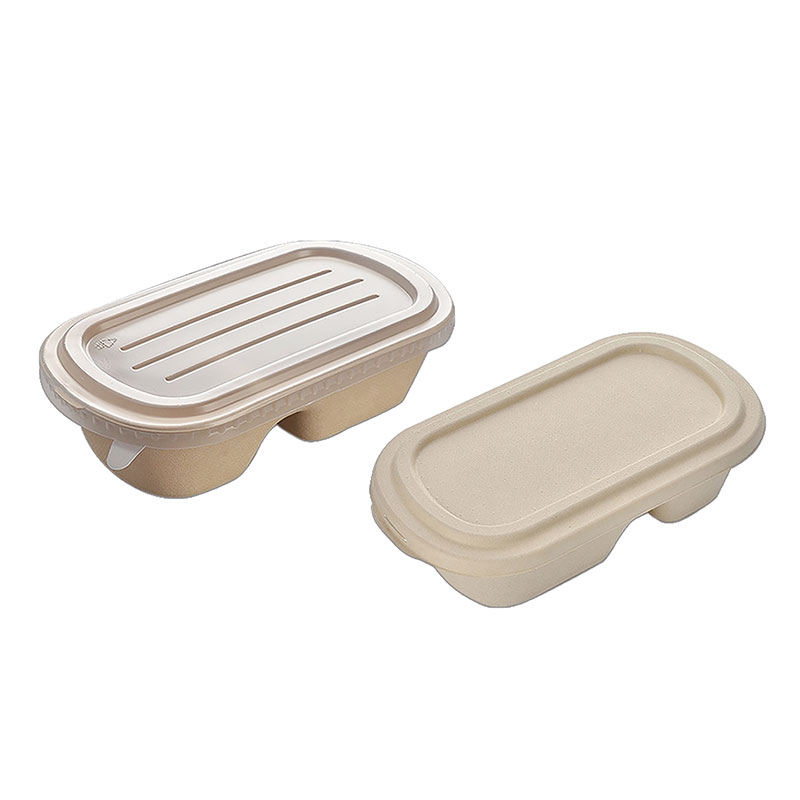 Food Container 2